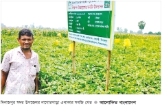 নিরাপদ উচ্চমূল্যের সবজি আবাদে লাভবান কৃষক 