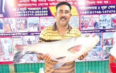 ২০ কেজি ওজনের কাতল ৪৬ হাজার টাকায় বিক্রি 