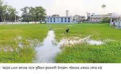 কচুরিপানার দখলে খেলার মাঠ 