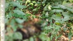 সখীপুরে নিখোঁজের ৪ দিন পর অর্ধগলিত নারীর লাশ উদ্ধার