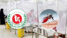 ২৪ ঘণ্টায় ডেঙ্গুতে ৫ জনের মৃত্যু, হাসপাতালে ৮৩৯