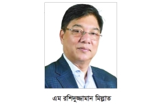 বিমান ও পর্যটন খাতে গতি আনতে চান মন্ত্রী মিল্লাত  