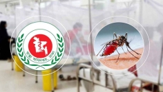 ২৪ ঘণ্টায় ডেঙ্গুতে ৩ জনের মৃত্যু, হাসপাতালে ৯৯৪