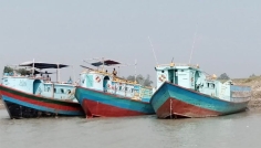 পদ্মায় অবাধে বালু উত্তোলন, তীব্র ভাঙনে ফসলি জমি নদীগর্ভে