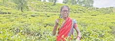 ২ হাজার চা-শ্রমিক ও পরিবারের দৃষ্টিসেবায় ব্র্যাক ব্যাংক ও ভিশনস্প্রিং   