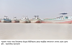 পদ্মায় বালু উত্তোলনে নদীগর্ভে শত শত বিঘা ফসলি জমি  
