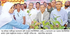 পরিবেশ রক্ষায় সবাইকে সম্পৃক্ত হতে হবে : প্রধানমন্ত্রীর উপদেষ্টা  