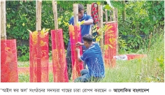 সবুজায়ন ও নারীদের স্বাবলম্বী করার ভিন্ন উদ্যোগ  