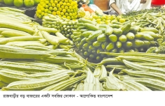 রাজবাড়ীতে কমতে শুরু করেছে সবজির দাম  