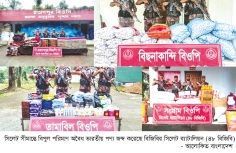 সিলেট সীমান্তে বিপুল পরিমাণ অবৈধ ভারতীয় পণ্য জব্দ  