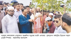 গাছের চারা বিনষ্টকারীদের ৪৮ ঘণ্টার মধ্যে গ্রেপ্তারের নির্দেশ  
