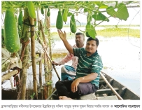 জলাবদ্ধ জমিতে ভাসমান পদ্ধতিতে সবজি চাষ  