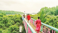 তিন মাসের নিষেধাজ্ঞা শেষে আজ খুলছে সুন্দরবন 