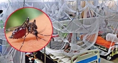 ডেঙ্গুতে আরও পাঁচজনের মৃত্যু, হাসপাতালে নতুন ভর্তি ১৩২৪ জন