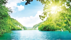 প্রকৃতির সুরক্ষায় ইসলাম
