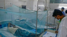 ডেঙ্গুতে একদিনে ৫ জনের মৃত্যু, মোট প্রাণহানি ১০৭