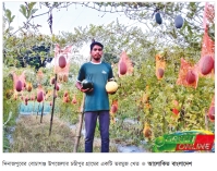 তরমুজ চাষে কৃষি উদ্যোক্তার সাফল্য 