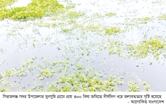 পানি নিষ্কাশনের ব্যবস্থা নেই জলাবদ্ধতায় ৩০০ বিঘা জমি  