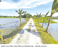 জমি-গরু বিক্রি করে এলাকাবাসীর জন্য বিএনপি নেতার রাস্তা নির্মাণ  