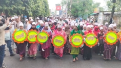 রাজবাড়ীতে বিএনপির ৪৮তম প্রতিষ্ঠাবার্ষিকী উপলক্ষে র‌্যালি