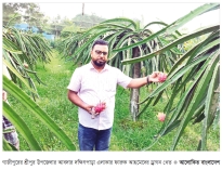 শ্রীপুরে ড্রাগন চাষে বাজিমাত  