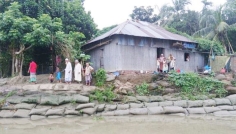 ডাকাতিয়ার ভাঙনে চাঁদপুরে আতঙ্ক, ঝুঁকিতে শতাধিক পরিবার