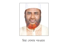 লংমার্চে বাধা দিলে জনরোষের মুখে পড়তে পারে সরকার  