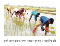 উত্তরাঞ্চলে আমন চাষে কৃষকদের ঘুরে দাঁড়ানোর স্বপ্ন  
