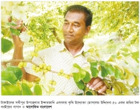 টক বরইয়ের বাগানে স্বাবলম্বী  