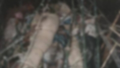আগামীকাল রাঙামাটির ৩৫ কাঠুরিয়া হত্যা দিবস