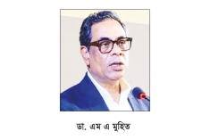 'সেপ্টেম্বরের শেষে ডেঙ্গুর প্রকোপ সর্বোচ্চ পর্যায়ে পৌঁছাতে পারে'  
