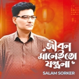 সৃষ্টির মাঝেই বেঁচে থাকতে চান বাউল কবি সালাম সরকার  