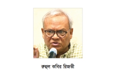 ষড়যন্ত্র করে সরকারের উন্নয়ন বাধাগ্রস্ত করা হচ্ছে  