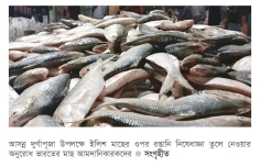 দুর্গাপূজা উপলক্ষে ইলিশ চায় ভারত নিষেধাজ্ঞা প্রত্যাহারের আহ্বান  