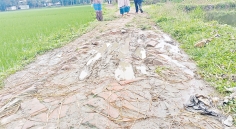 সড়কের বেহাল দশায় চরম দুর্ভোগ 