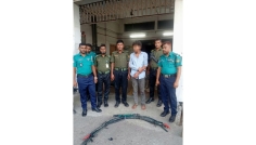 গাজীপুরে বৈদ্যুতিক তার চুরির চেষ্টাকালে আনসার সদস্যদের হাতে যুবক আটক