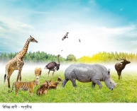 যেসব স্থলজ প্রাণী খাওয়া হারাম  