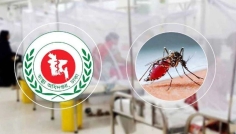 ডেঙ্গুতে একদিনে ৮ জনের মৃত্যু, হাসপাতালে ১৭৩৩