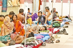 ডেঙ্গু রোগী  