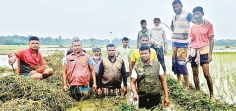 আনসার-ভিডিপির স্বেচ্ছাশ্রমে ৫০০ ফুট খাল পরিষ্কার 