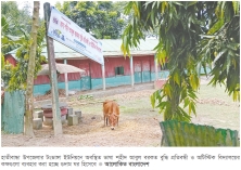 কয়েক বছর ধরে পরিত্যক্ত বুদ্ধি প্রতিবন্ধী ও অটিস্টিক বিদ্যালয়গুলো  