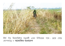 ঝোপঝাড়ে বিলীন সোয়া কোটি টাকার সড়ক  
