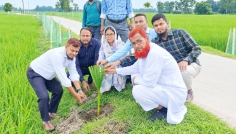 দিনাজপুরে বজ্রপাত নিরোধে তালগাছের চারা রোপণ
