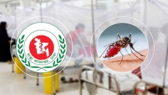 ডেঙ্গুতে আরও ৭ জনের মৃত্যু, হাসপাতালে ১৫৯৩ 