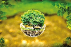 পরিবেশ রক্ষা অনন্য ইবাদত  