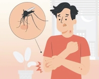 ডেঙ্গু প্রতিরোধে চাই বাড়তি সচেতনতা 