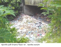 দখল-দূষণে অস্তিত্ব হারাচ্ছে শহীদ জিয়ার খনন করা পীরতলা খাল  