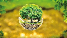 পরিবেশ রক্ষা অনন্য ইবাদত