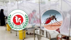 ডেঙ্গুতে আরও ৭ জনের মৃত্যু, হাসপাতালে ১৭৫৩