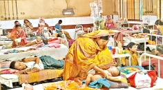 হাম  